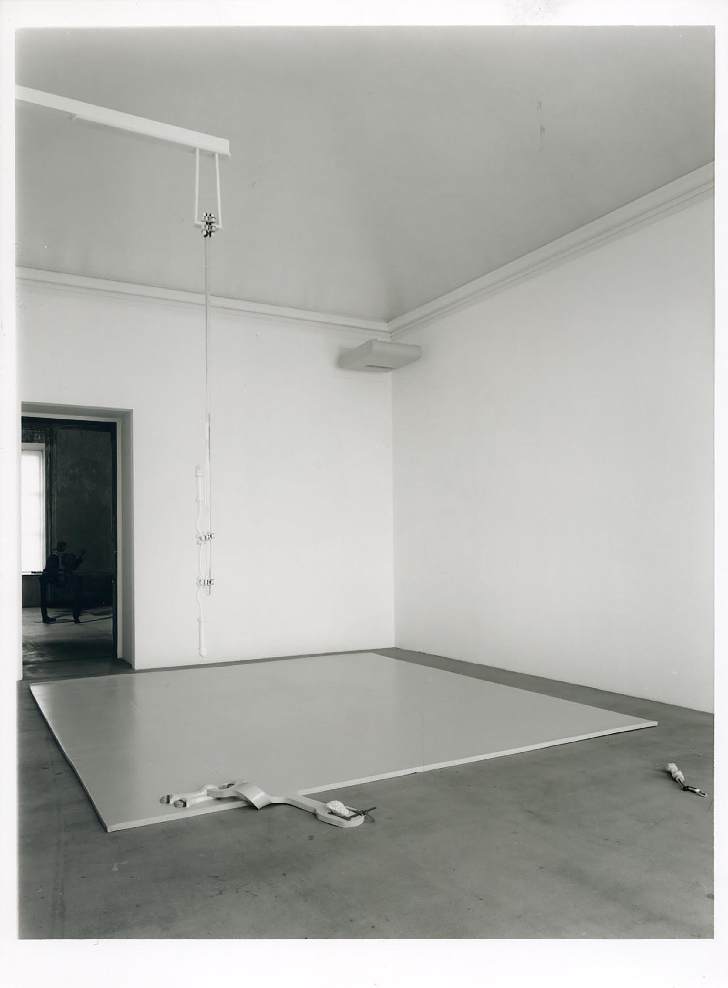 Matthew Barney, Repressia (Decline), 1991